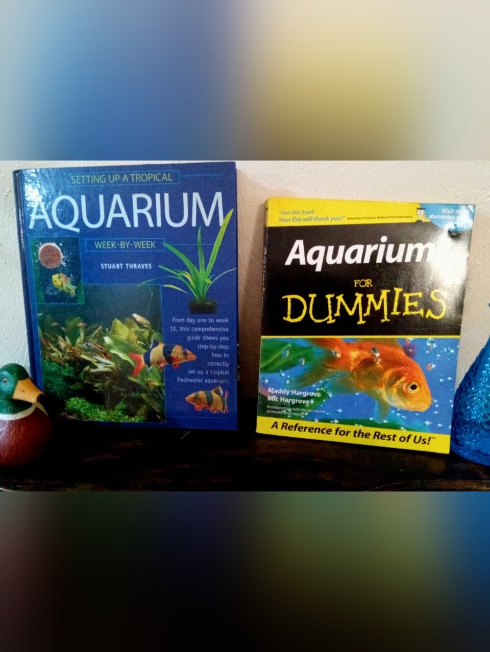 🐡Aquariums For Dummies & 12-Week Tropical Fish Tank Set Up Guide Book Bundle 🐟